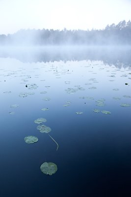 Lasa järv